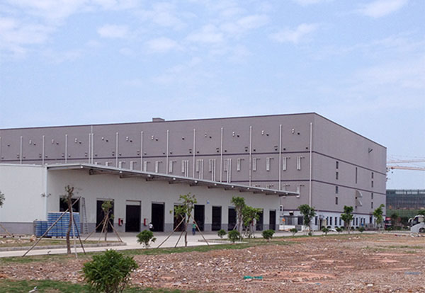 1537340474148874.jpg 食用(yòng)菌1.jpg