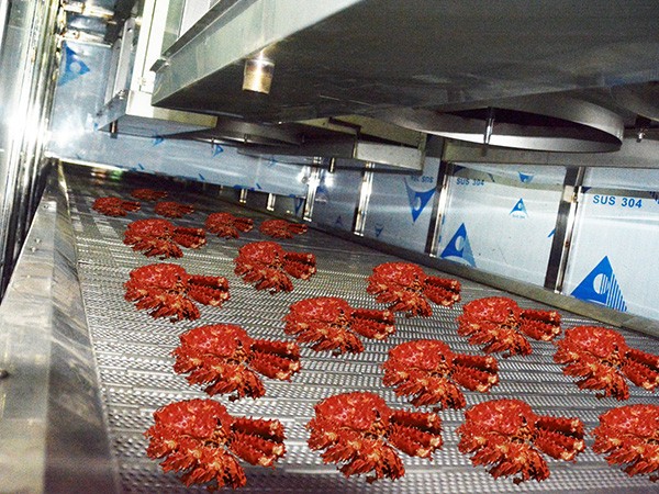 速凍隧（suì）道解決方案