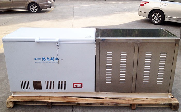 湖南花豬速凍（dòng）